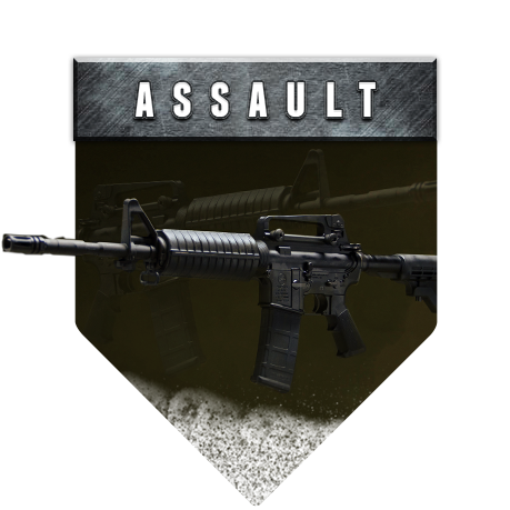 Assault & Battle Rifle